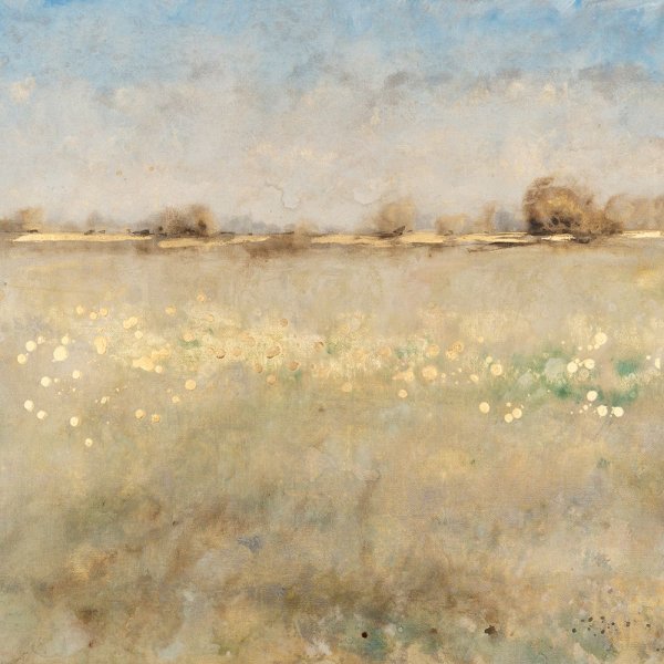 Meadow Plane II by Tim O'Toole - Hand-Painted Oil Painting Reproduction