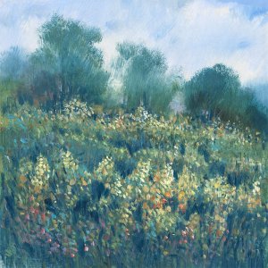 Meadow Wildflowers I by Tim O'Toole Oil Painting