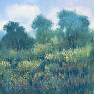 Meadow Wildflowers II by Tim O'Toole Oil Painting