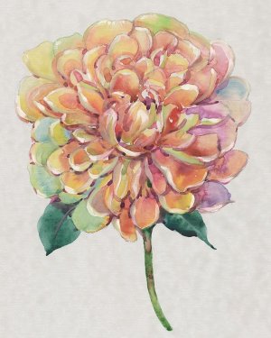 Multicolor Floral I by Tim O'Toole Oil Painting