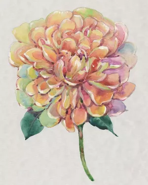 Multicolor Floral I by Tim O'Toole Oil Painting