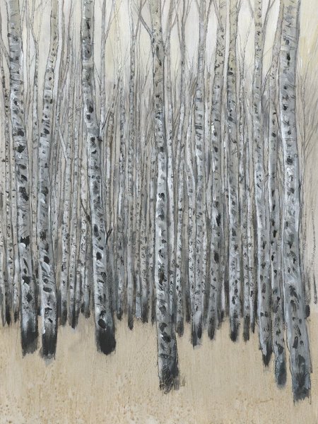 Neutral Aspen II by Tim O'Toole - Hand-Painted Oil Painting Reproduction