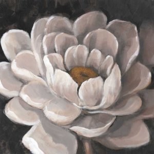 Neutral Fleur I by Tim O'Toole Oil Painting