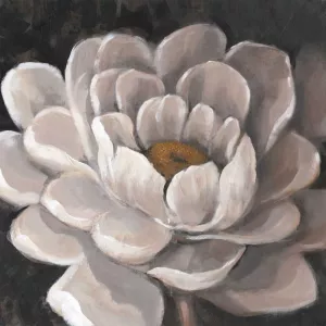 Neutral Fleur I by Tim O'Toole Oil Painting
