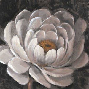 Neutral Fleur II by Tim O'Toole Oil Painting