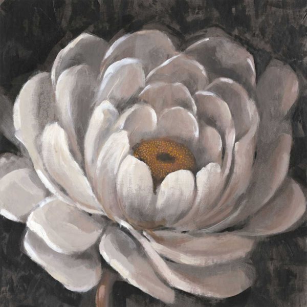 Neutral Fleur II by Tim O'Toole - Hand-Painted Oil Painting Reproduction