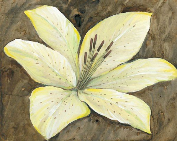 Main Product Photo of Neutral Lily I Painting by Tim O'Toole