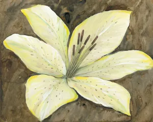 Neutral Lily II by Tim O'Toole Oil Painting