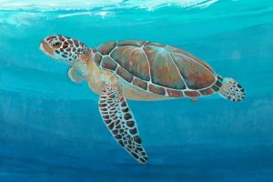 Ocean Sea Turtle II by Tim O'Toole Oil Painting