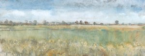 Open Field II by Tim O'Toole Oil Painting