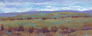 Open Land I by Tim O'Toole Oil Painting