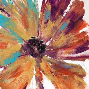 Orange Splash II by Tim O'Toole Oil Painting