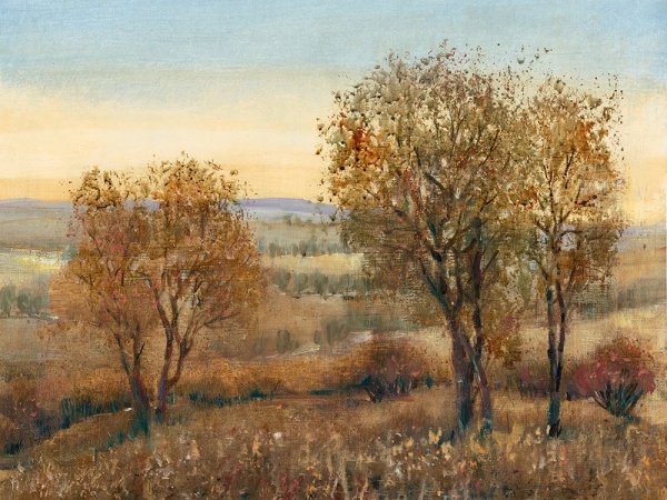 Main Product Photo of Overlook II Painting by Tim O'Toole