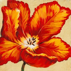Parrot Tulip I by Tim O'Toole Oil Painting