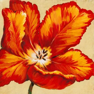 Parrot Tulip I by Tim O'Toole Oil Painting