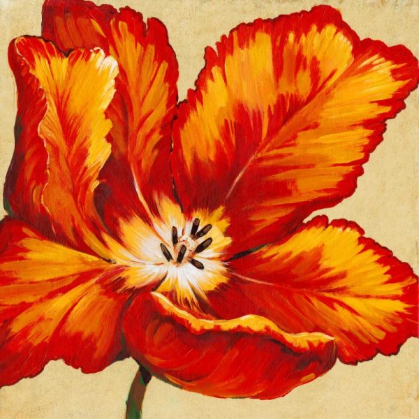 Parrot Tulip I by Tim O'Toole - Hand-Painted Oil Painting Reproduction
