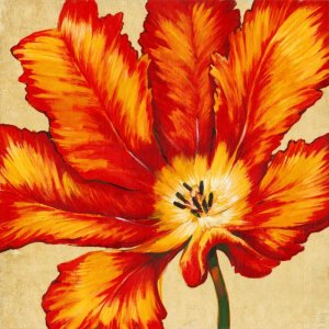 Parrot Tulip II by Tim O'Toole Oil Painting
