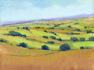 Patchwork Vista I by Tim O'Toole Oil Painting