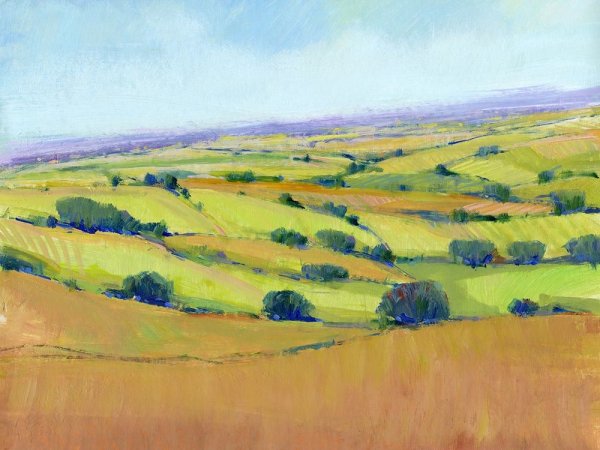 Patchwork Vista I by Tim O'Toole - Hand-Painted Oil Painting Reproduction