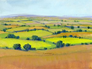 Patchwork Vista II by Tim O'Toole Oil Painting