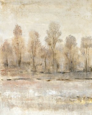 Peaceful Forest I by Tim O'Toole Oil Painting