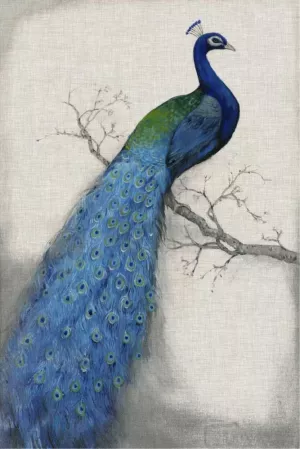 Peacock Blue I by Tim O'Toole Oil Painting