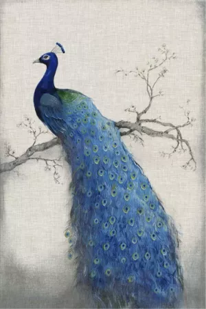 Peacock Blue II by Tim O'Toole Oil Painting