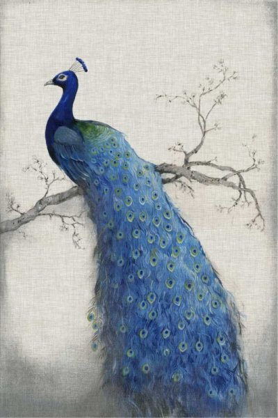 Peacock Blue II by Tim O'Toole - Hand-Painted Oil Painting Reproduction