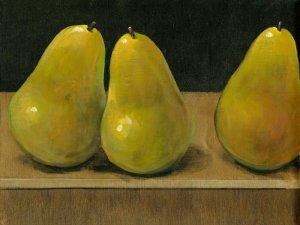 Pear Study by Tim O'Toole Oil Painting