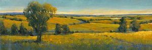 Picturesque Scene I Oil Painting by Tim O'Toole - Contemporary