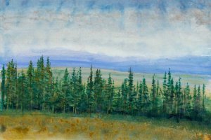 Pine Tops I Oil painting by Tim O'Toole