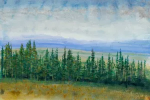 Pine Tops I by Tim O'Toole Oil Painting