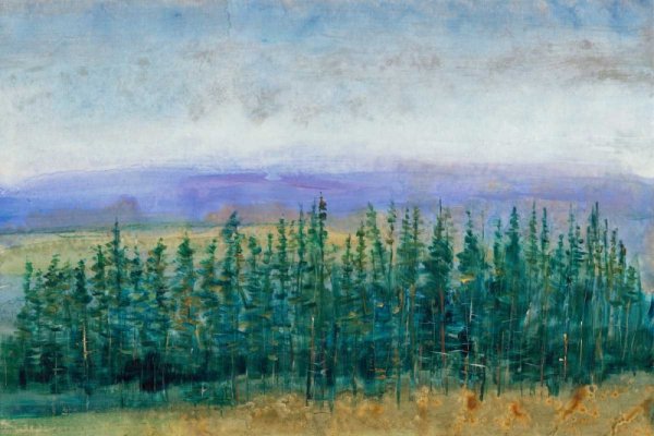 Pine Tops II by Tim O'Toole - Hand-Painted Oil Painting Reproduction
