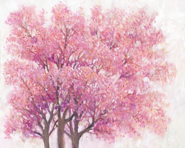 Main Product Photo of Pink Cherry Blossom Tree I Painting by Tim O'Toole