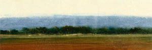 Planting Season I by Tim O'Toole Oil Painting