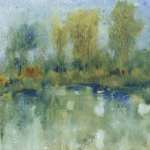 Pond Reflection I by Tim O'Toole Oil Painting