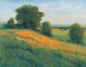 Poppy Fields I by Tim O'Toole Oil Painting