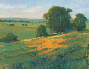 Poppy Fields II by Tim O'Toole Oil Painting