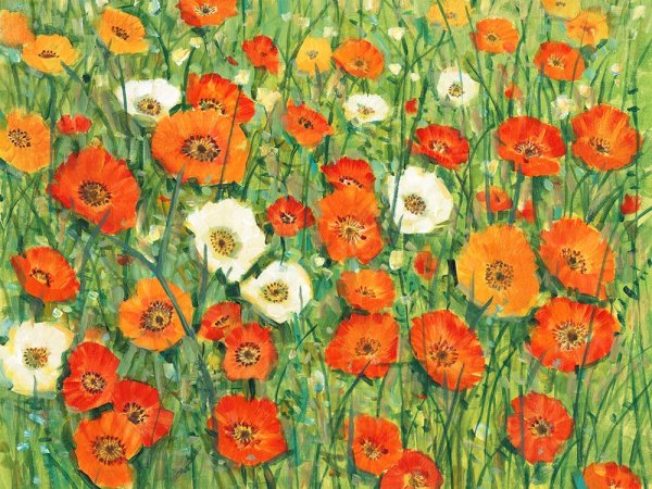 Poppy Meadow I by Tim O'Toole - Hand-Painted Oil Painting Reproduction