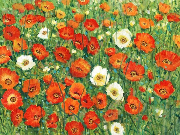 Poppy Meadow II by Tim O'Toole - Hand-Painted Oil Painting Reproduction