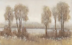 Rainy Afternoon II by Tim O'Toole Oil Painting