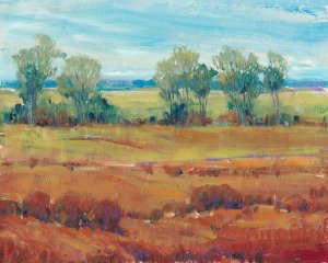 Red Clay I by Tim O'Toole Oil Painting