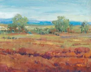 Red Clay II by Tim O'Toole Oil Painting