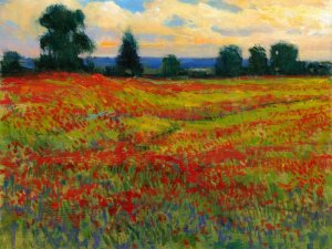 Red Field I by Tim O'Toole Oil Painting