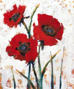Red Poppy Fresco I by Tim O'Toole Oil Painting
