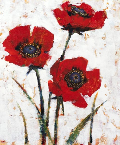 Red Poppy Fresco II by Tim O'Toole - Hand-Painted Oil Painting Reproduction