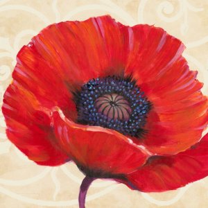 Red Poppy I Oil painting by Tim O'Toole