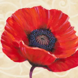 Red Poppy I by Tim O'Toole Oil Painting