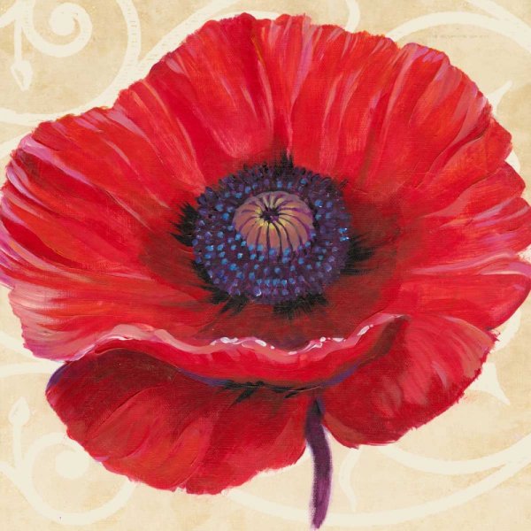 Main Product Photo of Red Poppy II Painting by Tim O'Toole