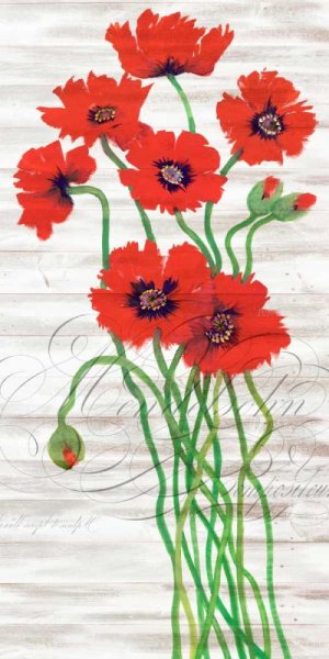 Red Poppy Panel I by Tim O'Toole Oil Painting